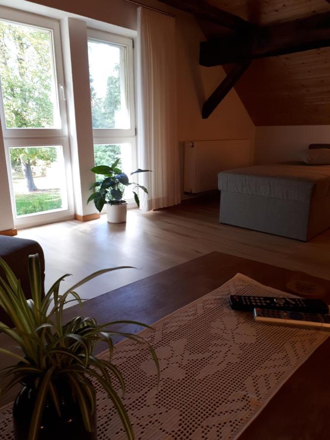 Feriendomizil Annette'S Scholle Lägenhet Sondershausen Exteriör bild